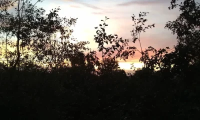 What Is Frilustsliv? Benefits And How To Try It, Explained