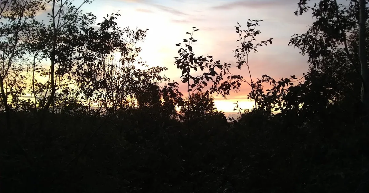 What Is Frilustsliv? Benefits And How To Try It, Explained