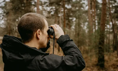 Birdwatching Could Help To Protect Your Brain From Ageing