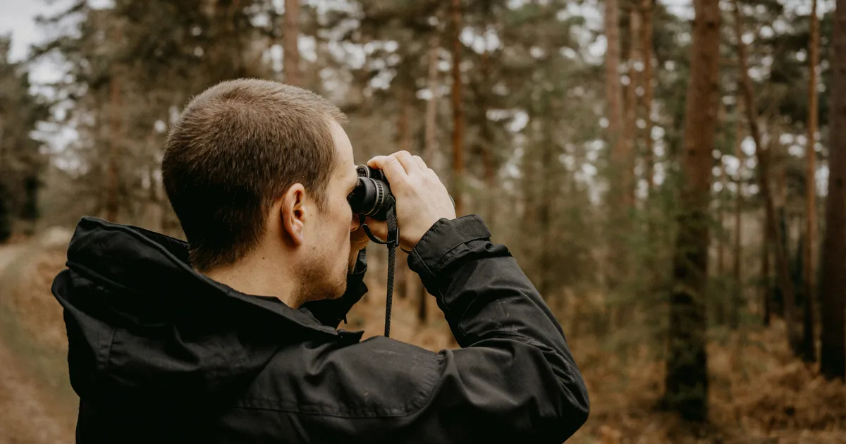 Birdwatching Could Help To Protect Your Brain From Ageing