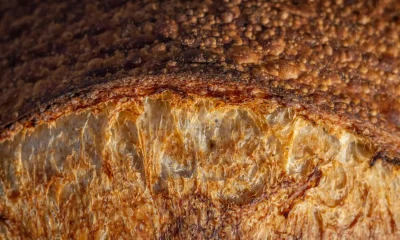 The Healthiest Breads, Ranked By A Dietitian