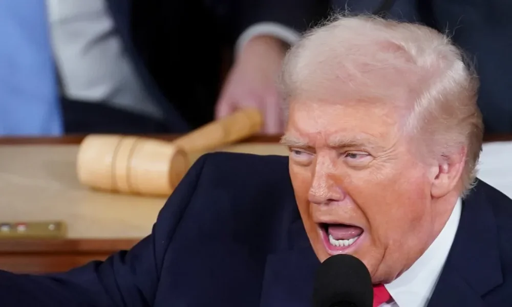 Trump Declared A 'War On Fraud' And You Know What Happened Next