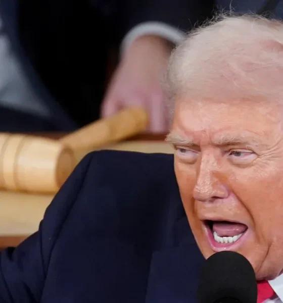 Trump Declared A 'War On Fraud' And You Know What Happened Next