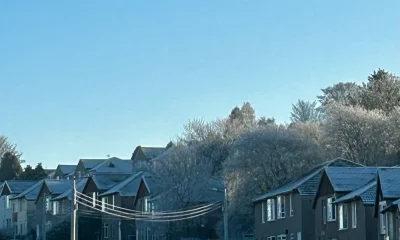 What Is Apricity And How Does It Affect Us