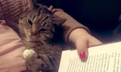 The 'Immersive' Habit That Finally Cured My Reading Slump