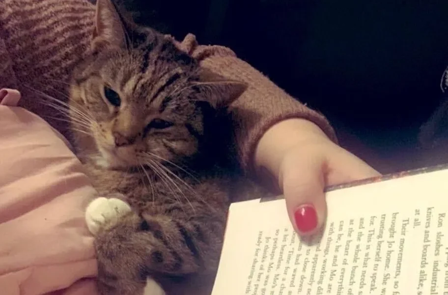 The 'Immersive' Habit That Finally Cured My Reading Slump