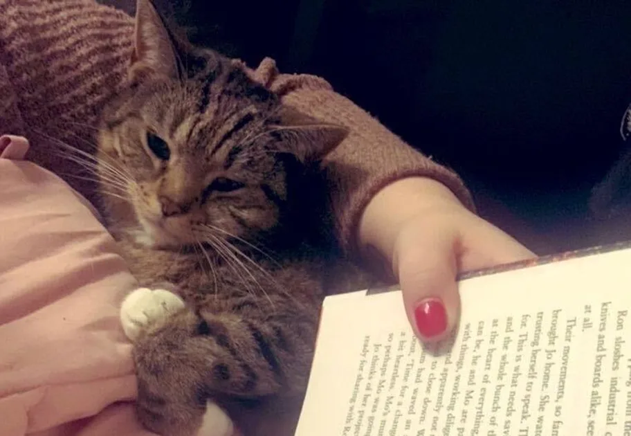 The 'Immersive' Habit That Finally Cured My Reading Slump