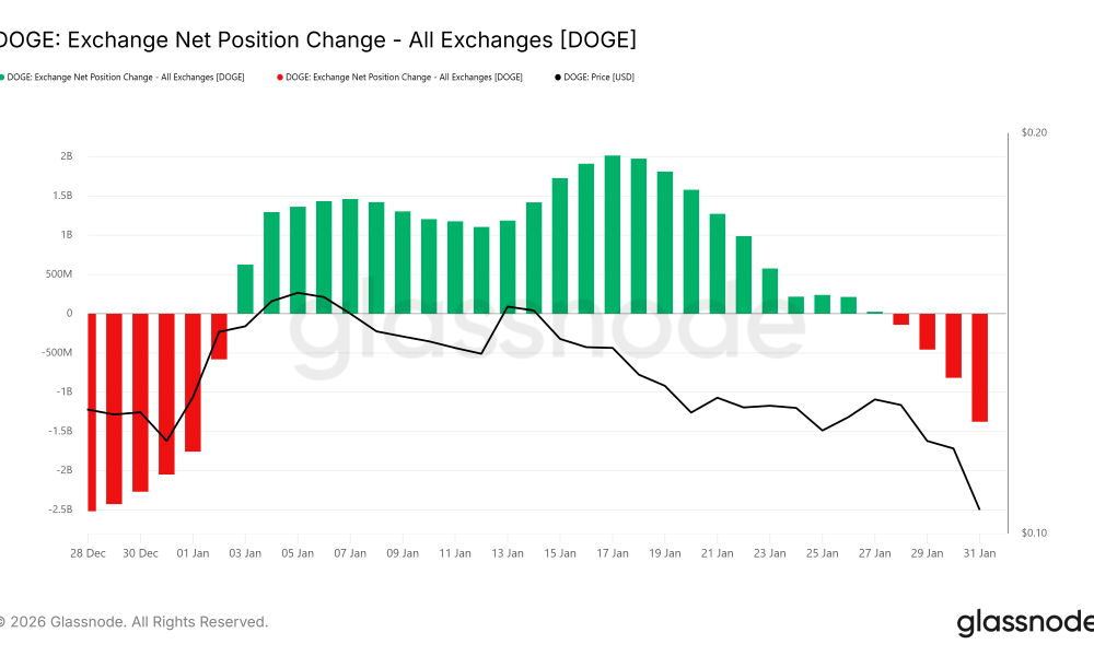 Dogecoin Exchange Net Position Change.