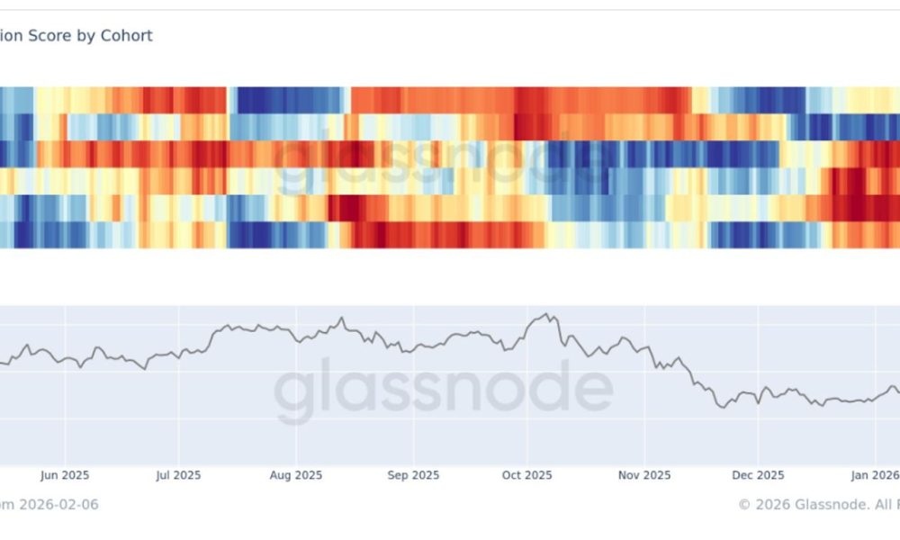 BTC is seeing accumulation across all cohorts, according to Glassnode