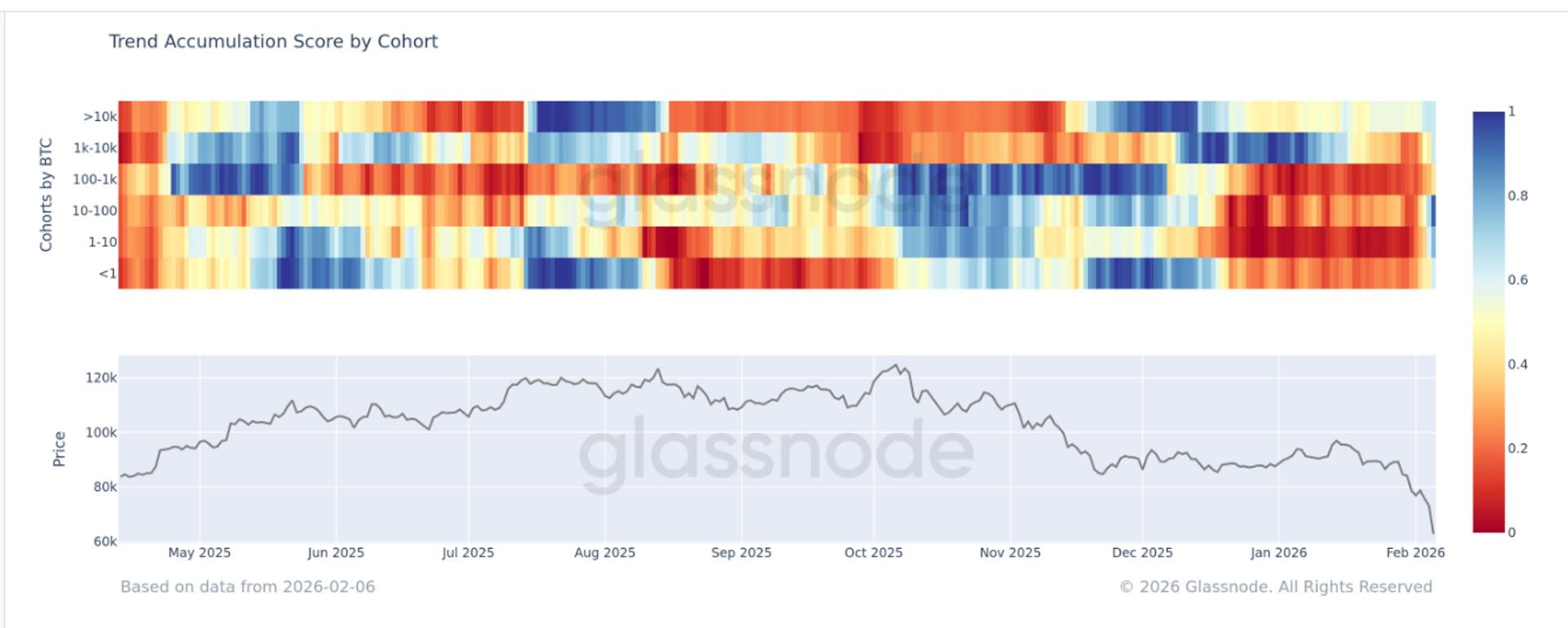BTC is seeing accumulation across all cohorts, according to Glassnode