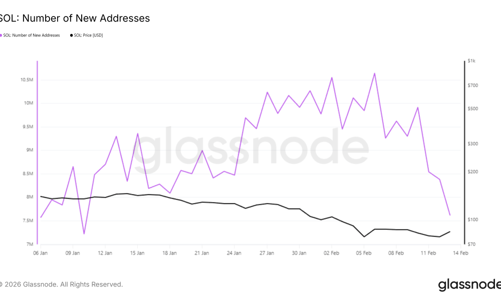 Solana New Addresses