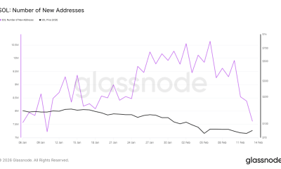 Solana New Addresses