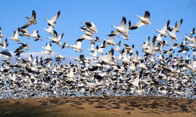 The Protocol: Zora moves to Solana