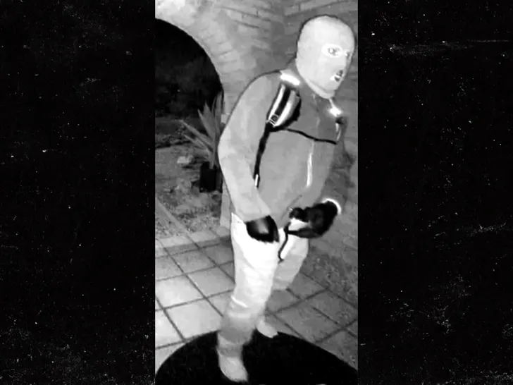 nancy-guthrie-nest-video-suspect-1