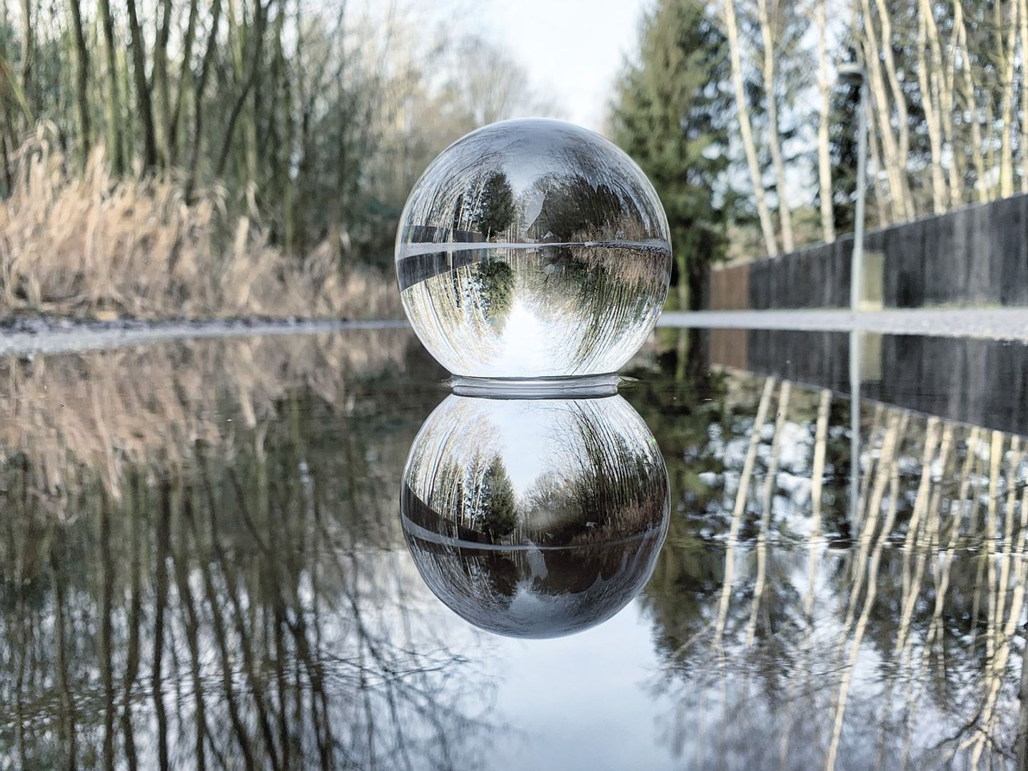 ETF that feasts on carnage in MSTR hits record high