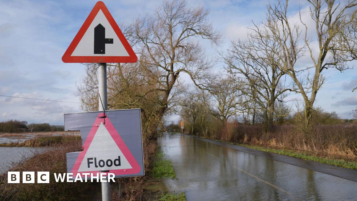 A flooded road flanked by trees with a blue and grey sky overhead and a sign in the foreground that reads "Flood".