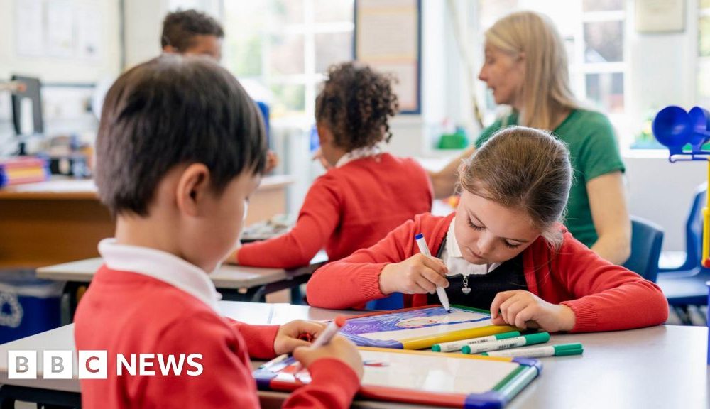 Ministers say billions in SEND funding will make schools more inclusive