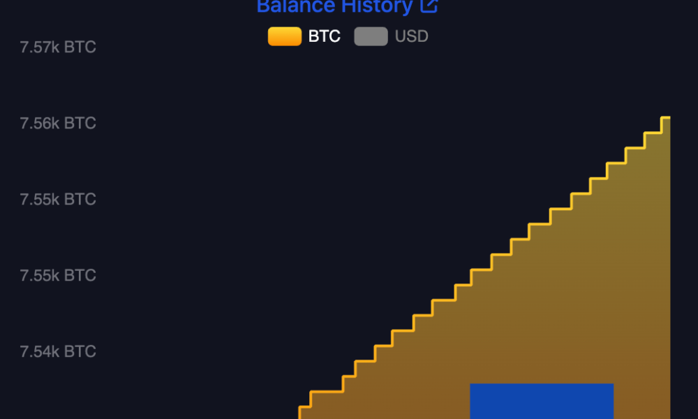El Salvador’s Bitcoin Holdings.