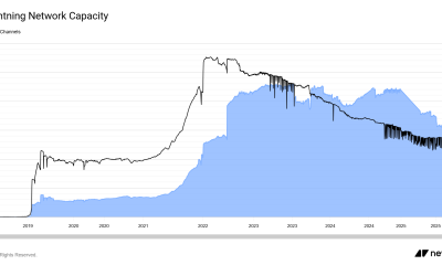 Bitcoin Lightning Network Capacity. Source: Newhedge