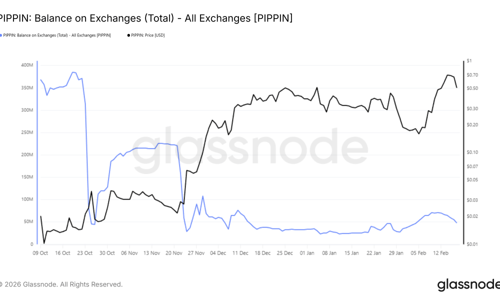 PIPPIN Balance On Exhcnages