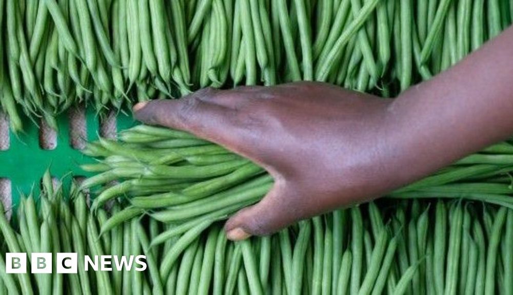 The two farms in Senegal that supply many of the UK's vegetables