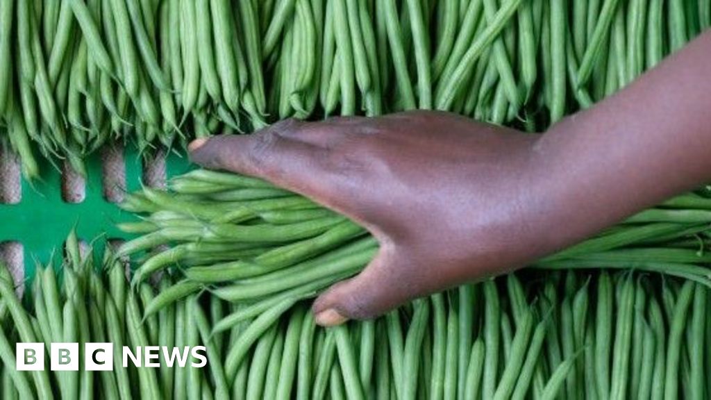 The two farms in Senegal that supply many of the UK's vegetables