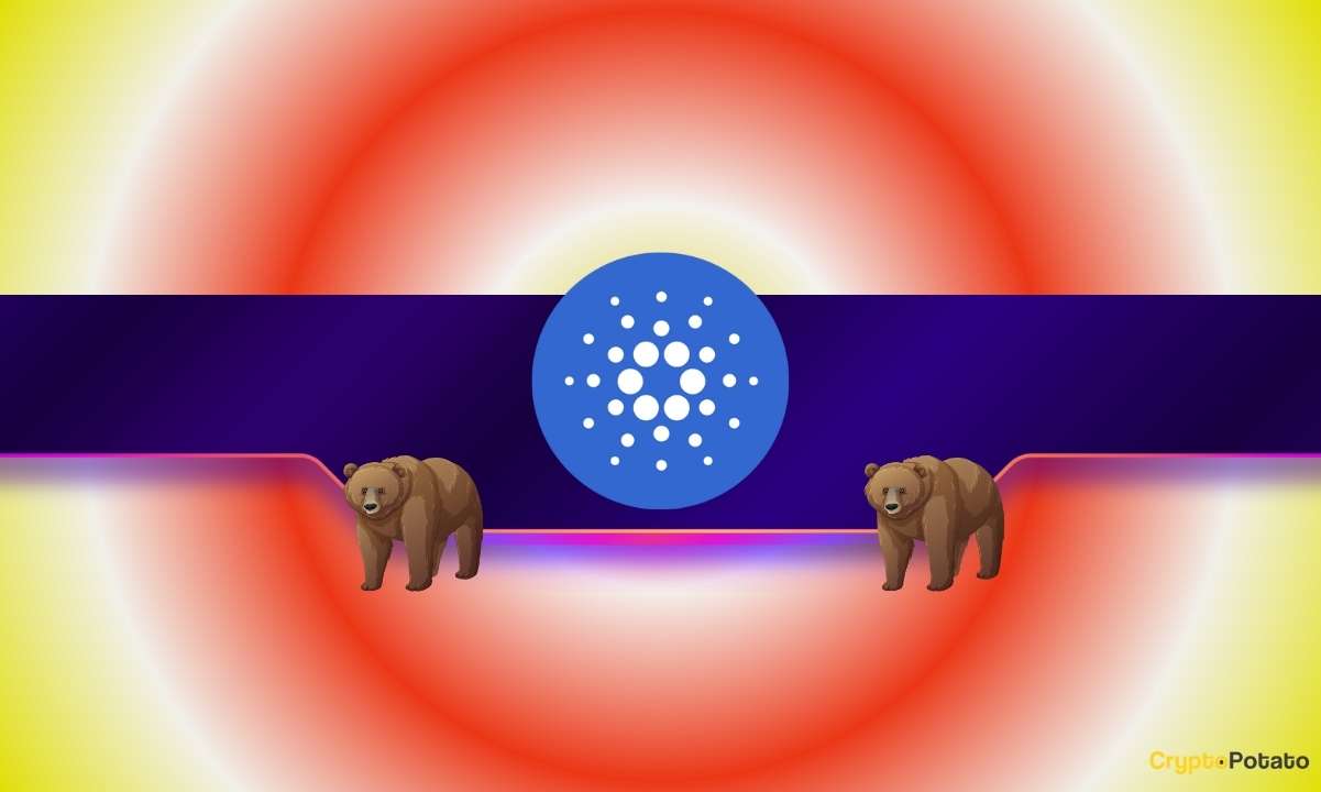 Is Cardano in Trouble? Why Whales Are Abandoning Binance