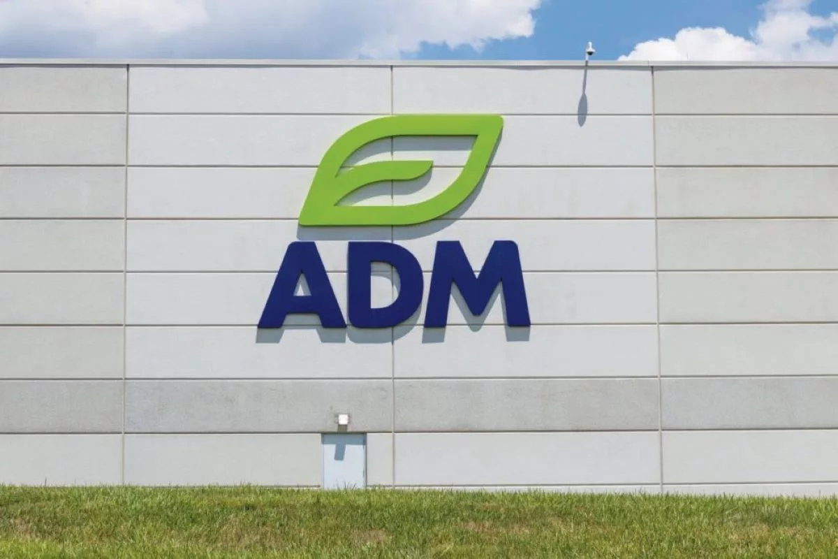 ADM earnings decline amid lower crush margins