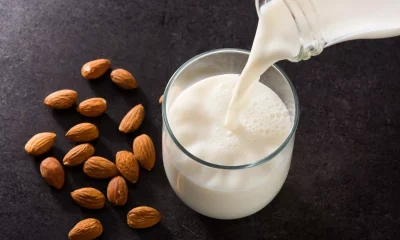 Blue Diamond Growers introduces almond milk