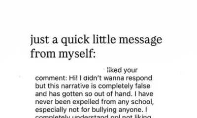 Apple Martin debunks bullying claims