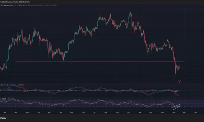 Bitcoin's daily RSI has formed a bullish divergence with its price.
