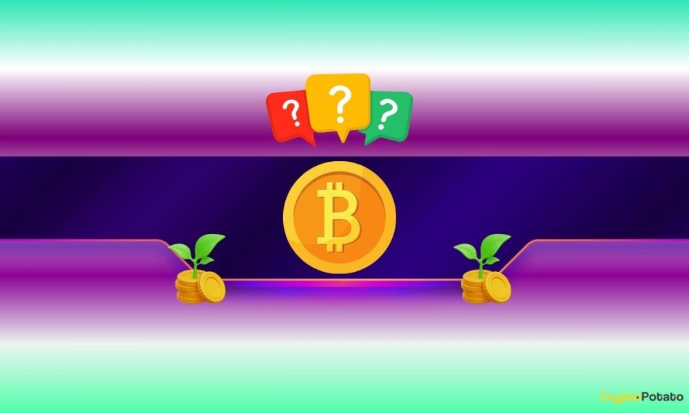 Bitcoin's Latest Flash Crash May Signal Big Bull Run Ahead, Analyst Says