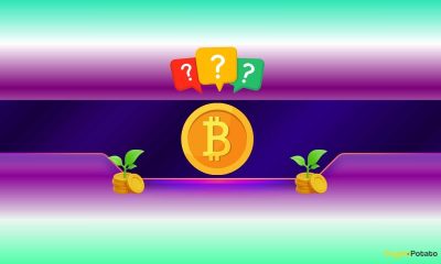 Bitcoin's Latest Flash Crash May Signal Big Bull Run Ahead, Analyst Says