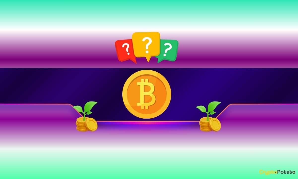 Bitcoin's Latest Flash Crash May Signal Big Bull Run Ahead, Analyst Says