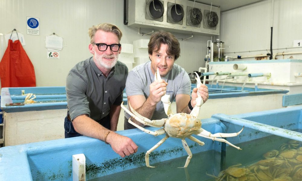 Seas the future for Bass family as lure of fishing business bites