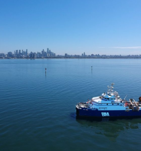 Bhagwan profit decline not worrying the market