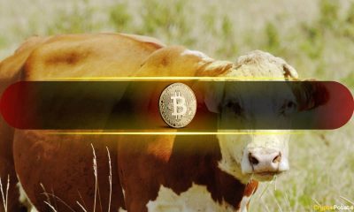 Bitcoin's Next Bull Run Depends on This Single On-Chain Indicator