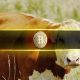 Bitcoin's Next Bull Run Depends on This Single On-Chain Indicator