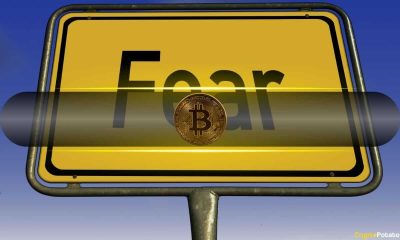 Crowd Fear Triggers Bitcoin Bounce, $70K Rally in Focus