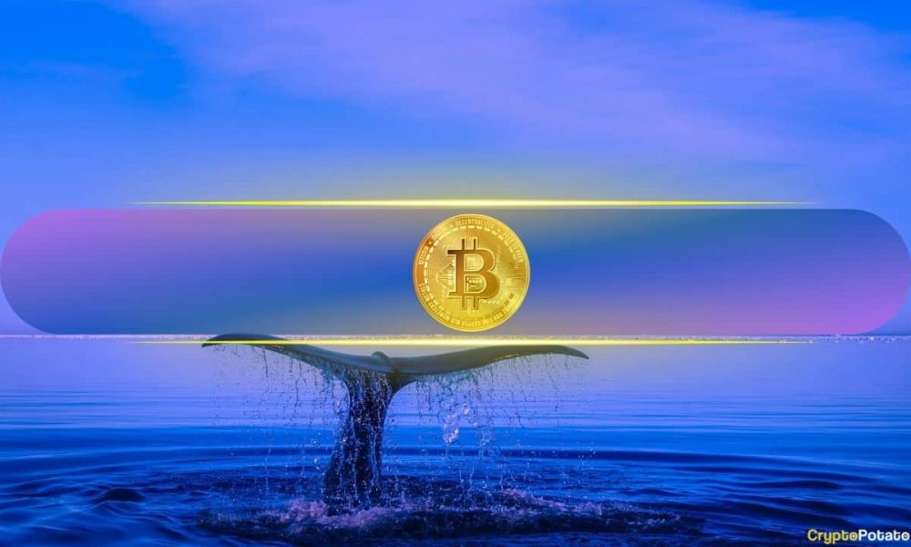 Bitcoin Whale Wallets Near Crucial Threshold as BTC Trades Close to $68K
