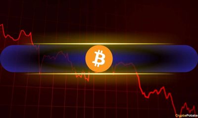 Analysts Explain Why Bitcoin and Altcoins Crashed