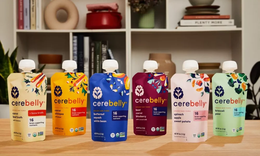 ‘High momentum’ drives executive team changes at Cerebelly