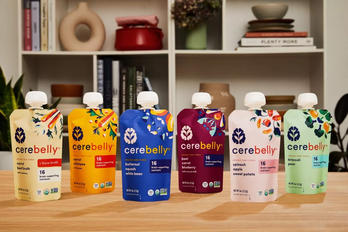 ‘High momentum’ drives executive team changes at Cerebelly