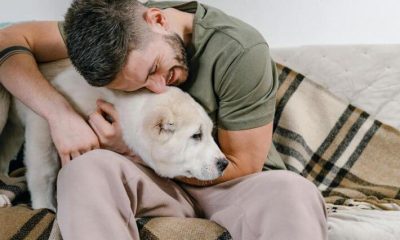 Common Pet Health Issues and When to Visit the Vet