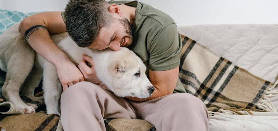 Common Pet Health Issues and When to Visit the Vet