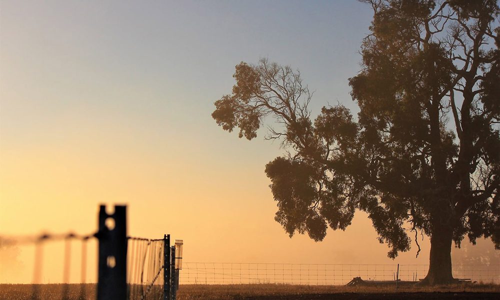 WA average farm value eclipses South Australia, Queensland