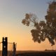 WA average farm value eclipses South Australia, Queensland