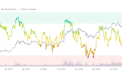 crypto fear and greed index