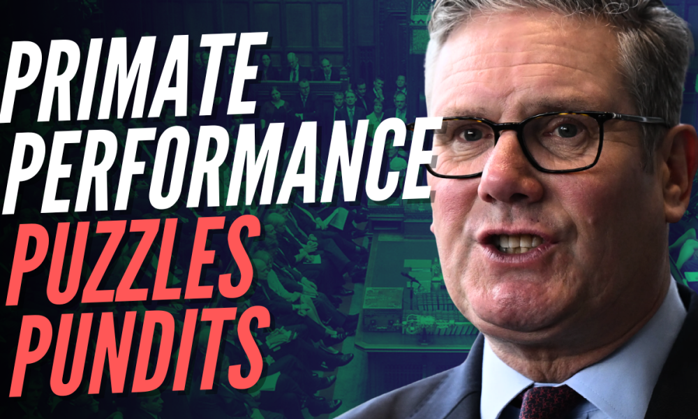 Simon’s Sketch: Punch the Monkey Tries on a Gorilla Suit for PMQs