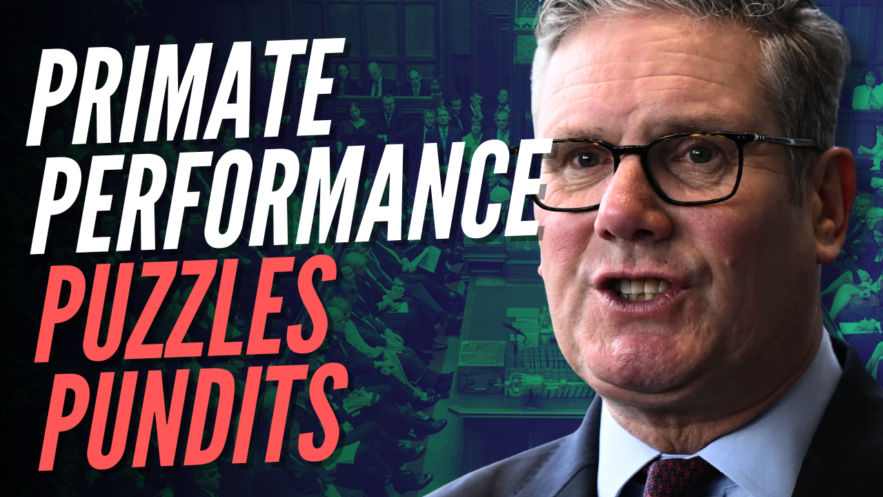 Simon’s Sketch: Punch the Monkey Tries on a Gorilla Suit for PMQs